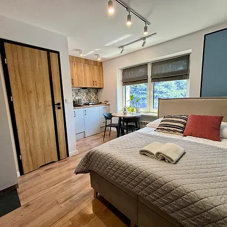 Przytulne Mieszkanie W Centrum Miasta Διαμέρισμα *